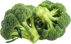 BROCOLI KG