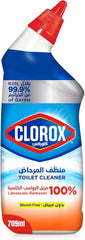 CLOROX TOUGH STAIN REMOVER 709ML