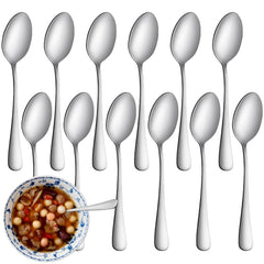 Steel Spoon 12 Pcs OTR