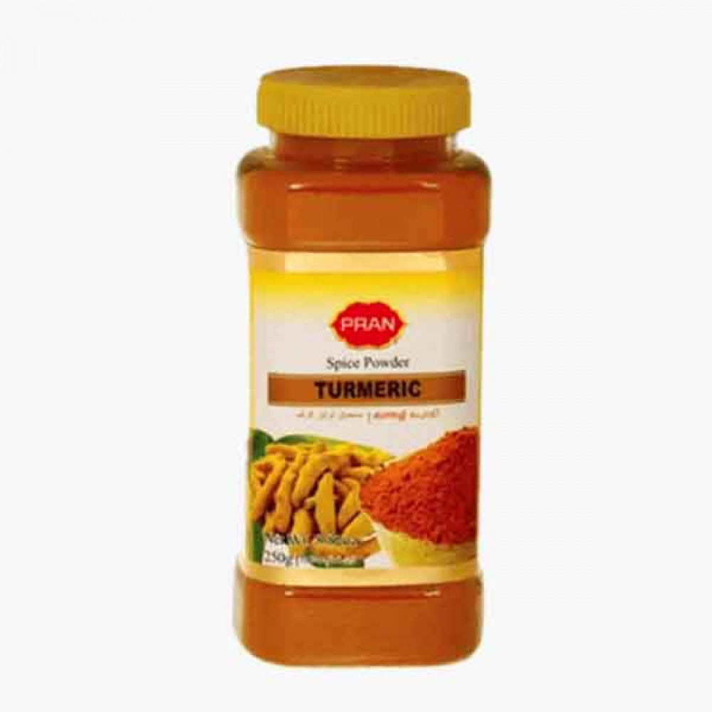 PRAN TURMERIC POWDER JAR 225 GM