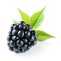 Blackberry N