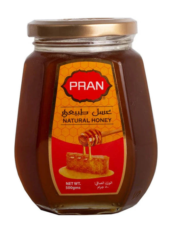 PRAN HONEY 500 GM