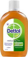 DETTOL LIQUID 250ML