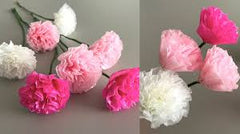 Flower Tissues
