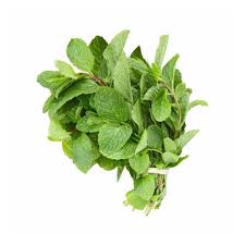 Mint Leaves