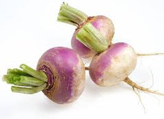 TURNIP(SALGAM)