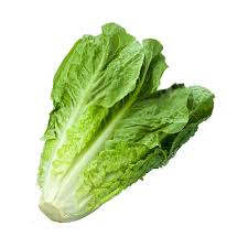 LETTUCE KG