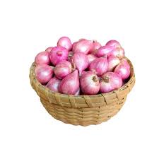 ONION SMALL INDIA