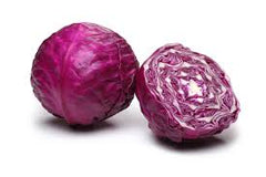 CABBAGE (RED)