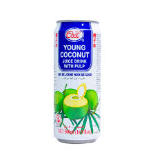 Ice Cool Coconut Juice Can 500ml