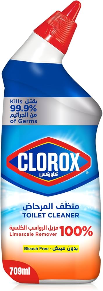 CLOROX TOUGH STAIN REMOVER 709ML