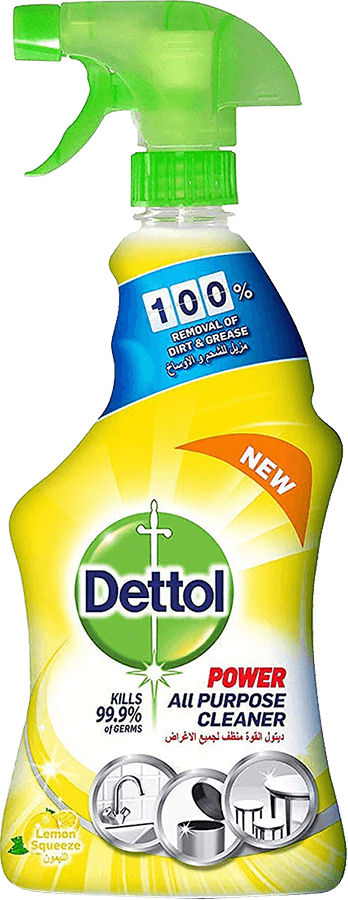 DETTOL POWER ALL PURPOSE CLEANER 500ML