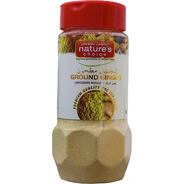Nature Choice Ginger Powder 100gm