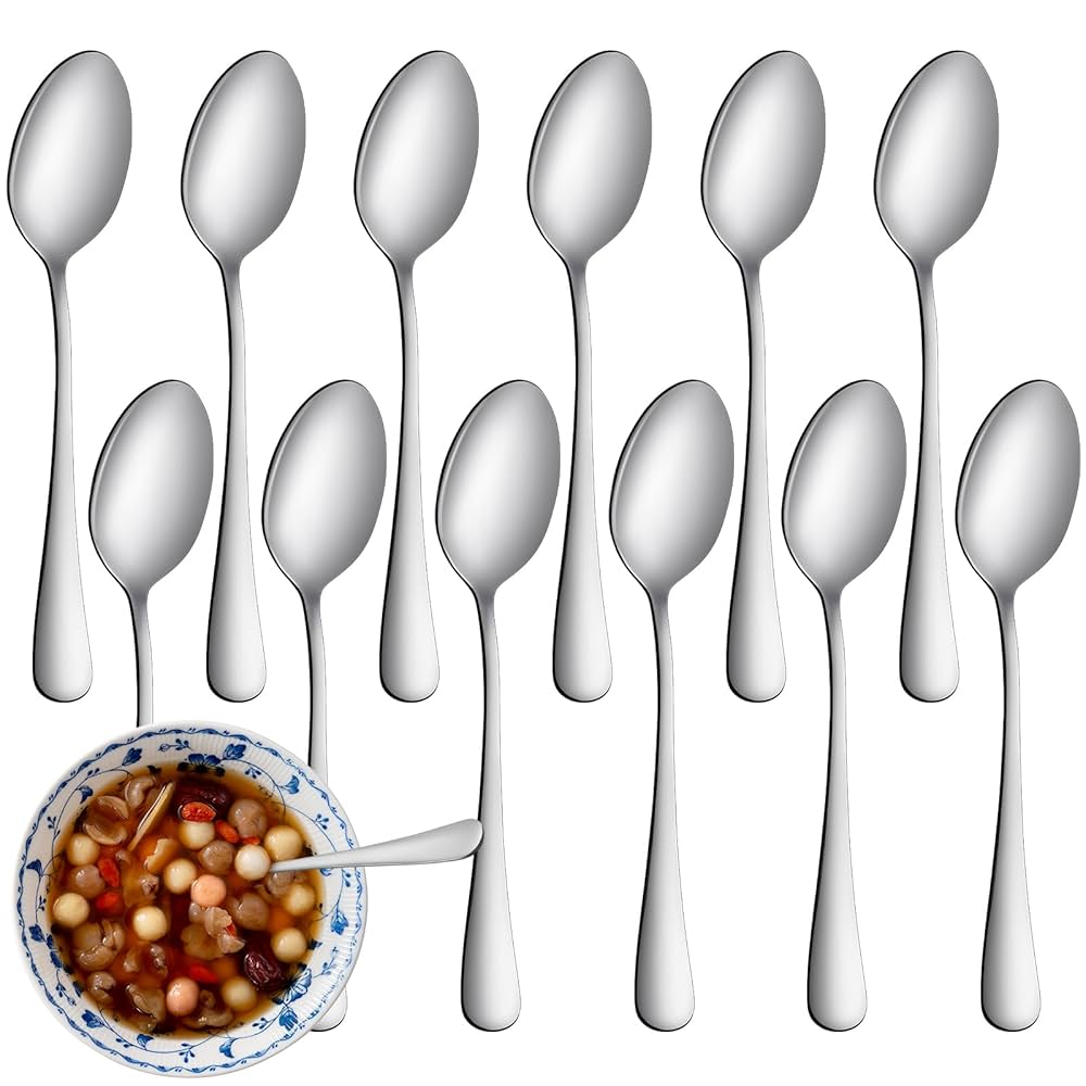 Steel Spoon 12 Pcs OTR
