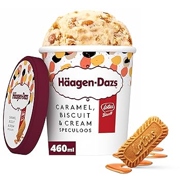 Haagen-Das Caramel Biscuit&cream 460ml