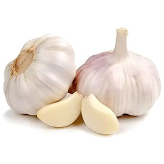 GARLIC KG