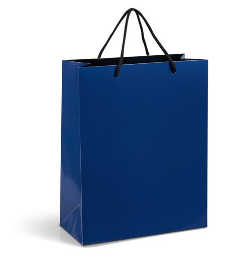 Gift Bag A4 Vertical
