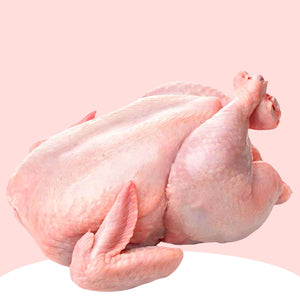 Fresh Chicken