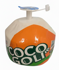 Young Tendor Coconut