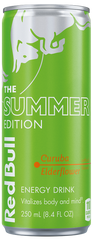 RED BULL 250ML SUMMER EDITION GREEN