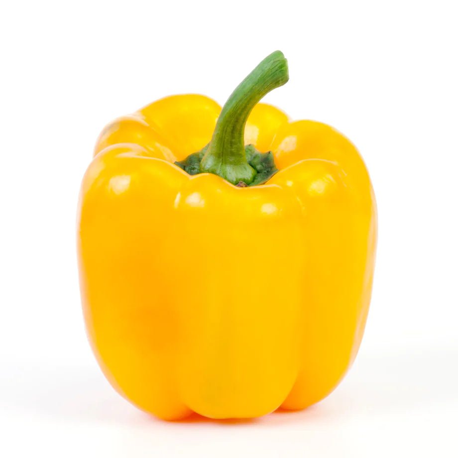 CAPSICUM YELLOW