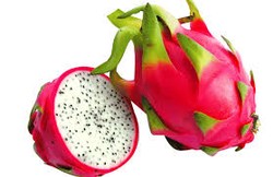 Dragon Fruit