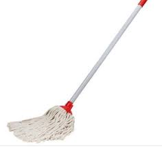 Eco Mop Wlstick