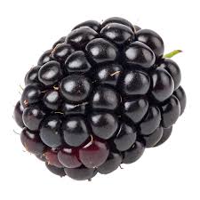 Blackberry
