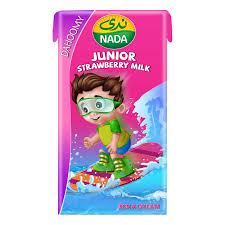 Nada Junior Long Life Strawberry Milk 125ML X6