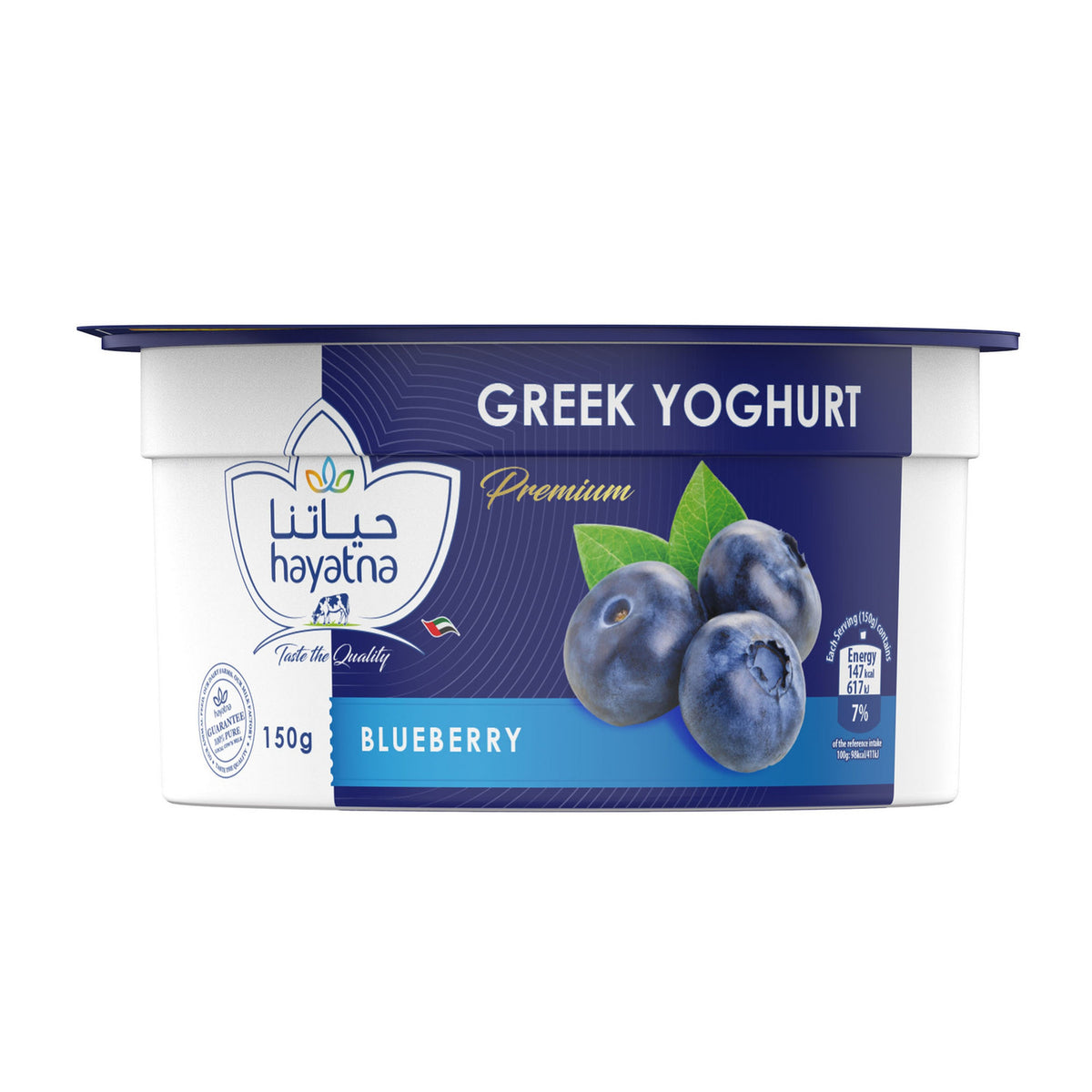 Hayatna Blueberry Greek Yogurt 150gm
