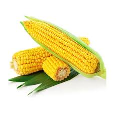 SWEET CORN KG