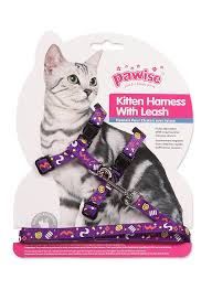 Pawise Kitten Harenss with Leash - Assorted Pink/Purple, 1.2m