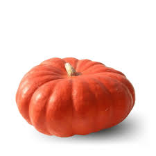Pumpkin Red Big