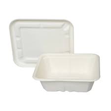 Econic Bagasse Takeout Box 25 Pcs