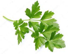 PARCELEY LEAVES
