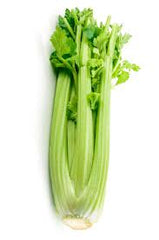 CELERY KG