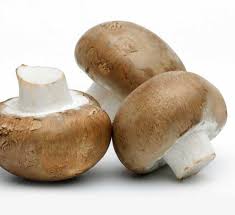 Mushroom Brown
