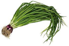 Spring Onion