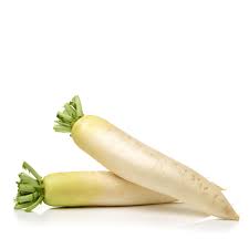 RADISH WHITE