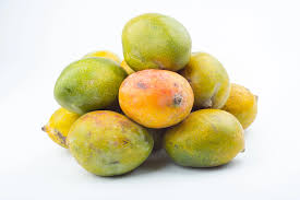 MANGO EGYPT