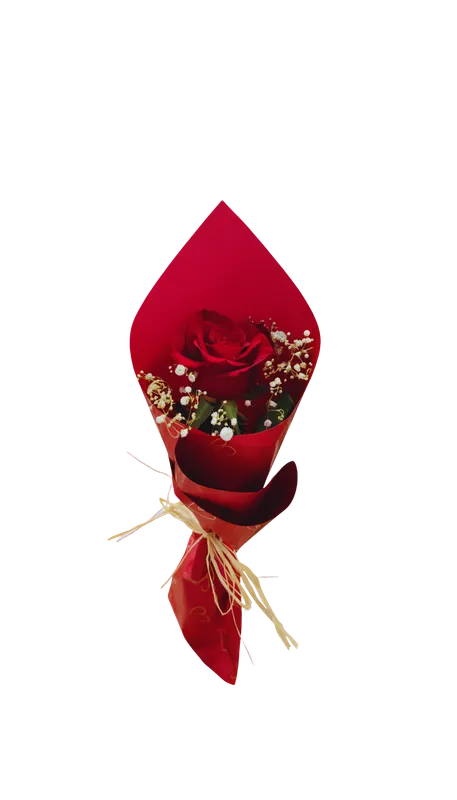 Rose Single