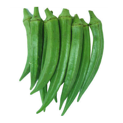 LADYFINGER