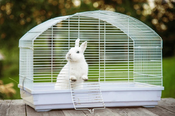 CUTE PET RABBIT WHITE SPACE CAGE