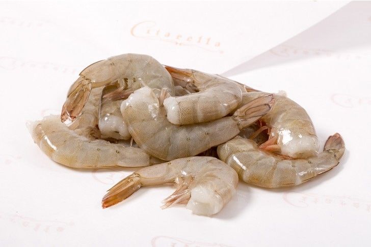 Shrimps Medium