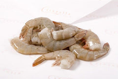 Shrimps Medium