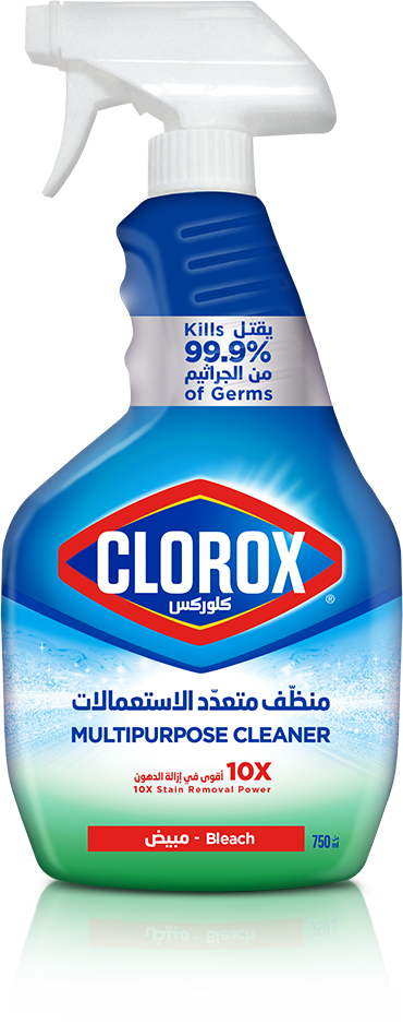 CLOROX MULTIPURPOSE CLEANER 750ML