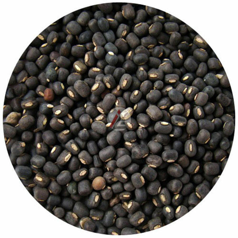 Urid Whole 450 Gm